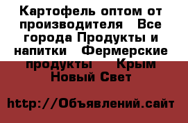 Картофель оптом от производителя - Все города Продукты и напитки » Фермерские продукты   . Крым,Новый Свет